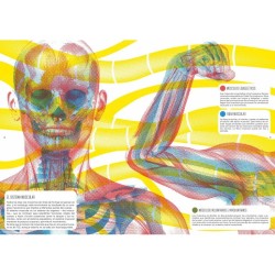 https://villapeques.es/EL CUERPO HUMANO (Libro con lentes)